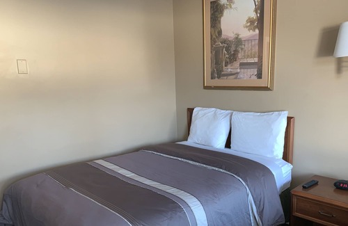 Lively Hotel | Village Inn & Suites