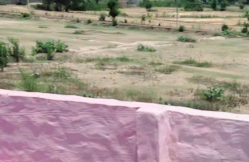 Jalandhar House | Village life with full comfort!