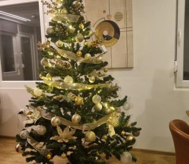 Petrovaradin Villa | Village Relax House