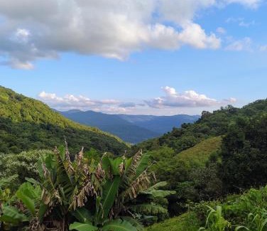 Caxias do Sul Other | VillagePuhl