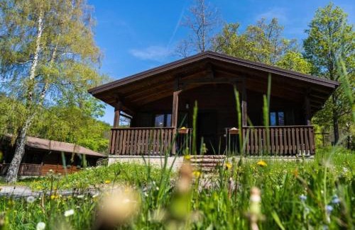 Sillano Giuncugnano House | Villaggio Anemone Chalet Scoiattolo