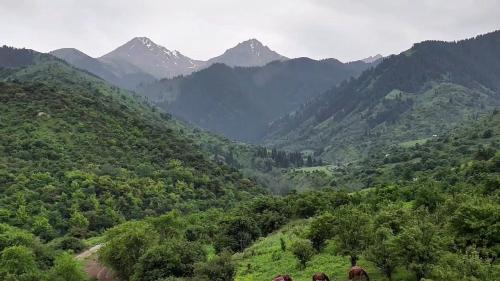 Almaty Other | Villariba eco-camp