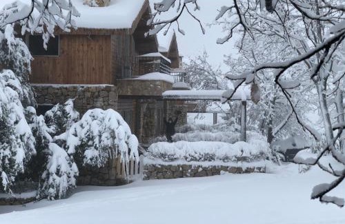 Mayrouba Ski Chalet | Villars