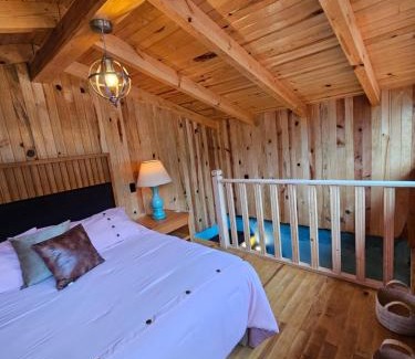 Mazamitla Villa | Villas de los pinos 4