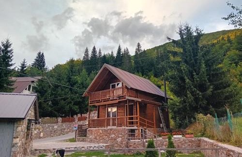 Pejë Ski Chalet | Villas Meti Rugove