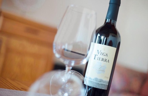 Santa Ursula Apartment | Villasol 1