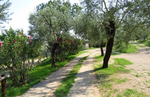 Pulciano Villa | Ville in uliveto vista lago - VILLA CASALIVA