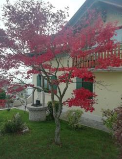 Foza Apartment | Villetta di montagna