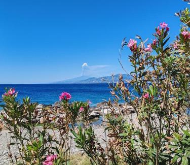 Reggio Calabria Villa | Villino TerrAmare