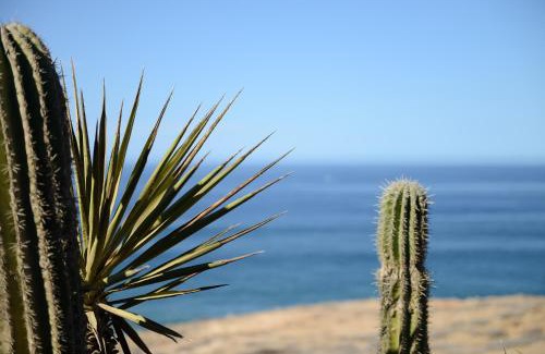 El Pescadero Apartment | Villita tres vistas