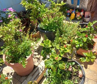 Marica Resort | Vilmar suítes