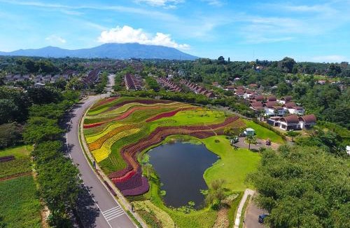 Ciawi Villa | Vimala Hills Resort Cozy Villa Puncak Gadog Bogor