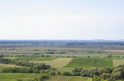 Velke Bilovice House | Vinařský penzion Přední Hora