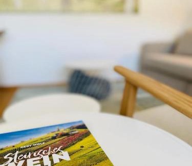 Leibnitz Apartment | VINESTIA cityloft Storchenblick, non-serviced Appartement