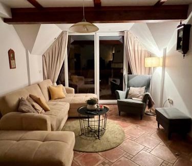 Krsko House | Vineyard cottage Skriti raj