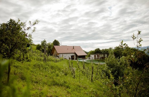 Srednje Grcevje Cottage | Vineyard cottage Škatlar 3