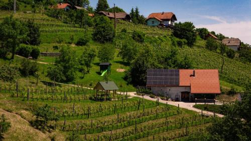 Srednje Grcevje House | Vineyard cottage Škatlar 3