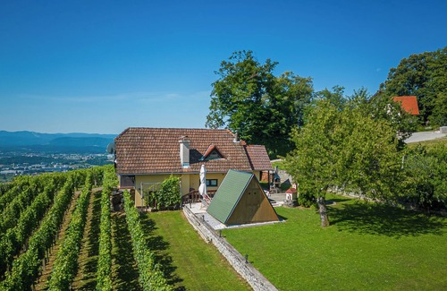 Trska Gora House | Vineyard Cottage Hocevar With Sauna