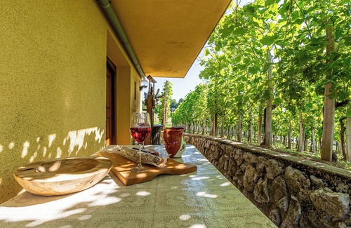 Trska Gora House | Vineyard Cottage Hocevar With Sauna