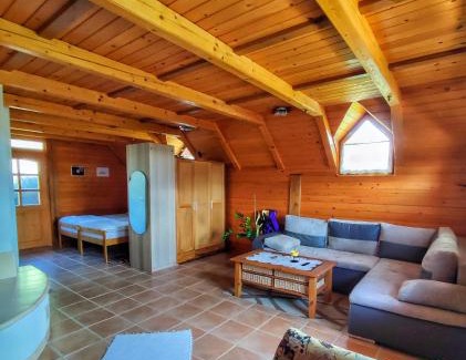Dolenjske Toplice House | Vineyard cottage Kralj