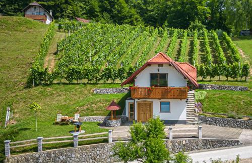 Cesnjice pri Trebelnem House | Vineyard Cottage Krivic - Happy Rentals
