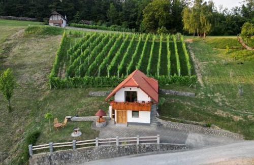 Cesnjice pri Trebelnem House | Vineyard Cottage Krivic