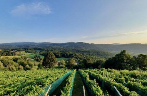 Dolenjske Toplice Apartment | Vineyard cottage Kulovec