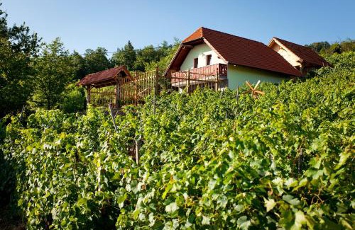 Trska Gora House | Vineyard Cottage Lustek