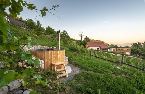 Srednje Grcevje House | Vineyard Cottage Pavlin 1, Otočec, Slovenia