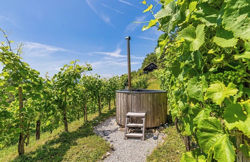 Srednje Grcevje House | Vineyard Cottage Pavlin 3, Otočec, Slovenia