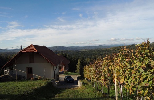 Trebnje House | Vineyard cottage Pod piramido