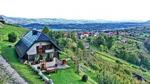 Srednje Grcevje House | Vineyard cottage Podržaj