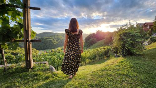 Srednje Grcevje House | Vineyard cottage Podržaj