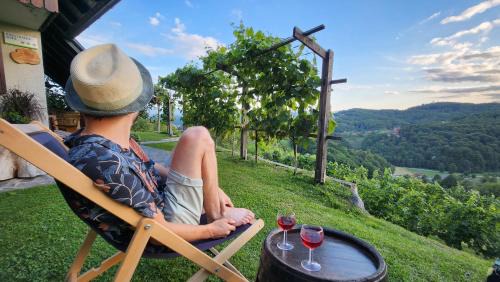 Srednje Grcevje House | Vineyard cottage Podržaj
