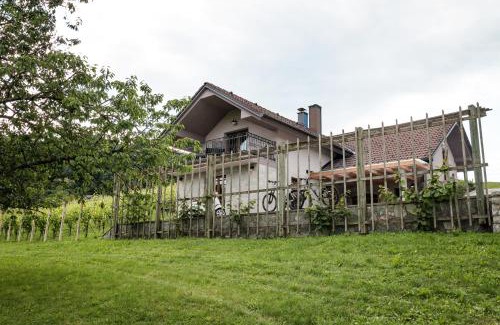 Gorenja Vas pri Smarjeti Apartment | Vineyard cottage Radulja