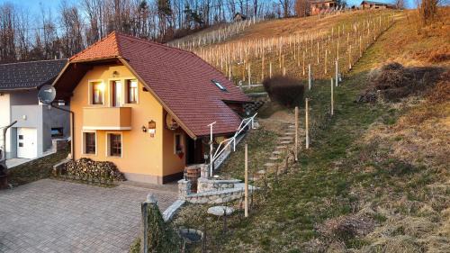 Skocjan House | Vineyard Cottage Tramte