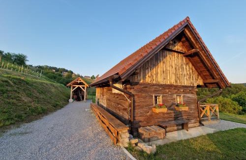 Trebnje House | Vineyard cottage Vinska grajska kašča