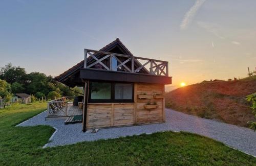 Trebnje House | Vineyard cottage Vinska grajska kašča