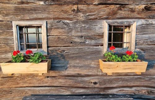 Trebnje House | Vineyard cottage Vinska grajska kašča