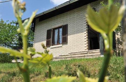 Smarje pri Jelsah House | Vineyard Cottage Vrbek