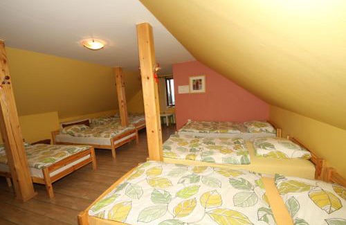 Smarje pri Jelsah House | Vineyard Cottage Vrbek