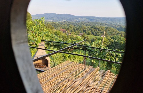 Drasici Apartment | Vineyard Getaway with a jacuzzi