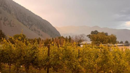 Okanagan-Similkameen House | Vineyard Home Casa De Herrera