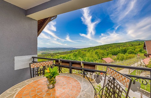 Crnomelj House | Vineyard Homestead Vrtin, Dragatuš, Slovenia