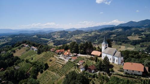 Spodnja Polskava House | Vineyard Paradise Senica