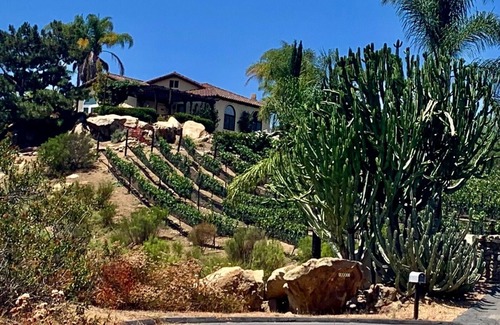 Escondido Villa | Vineyard Villa with 360-Degree Mtn Views, Private Saltwater Pool & Hot Tub