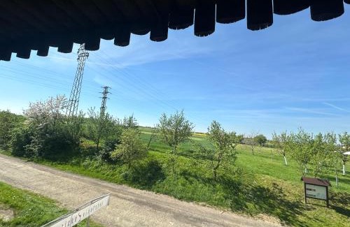 Veseli nad Moravou Apartment | Vinný sklep v Zarazicích