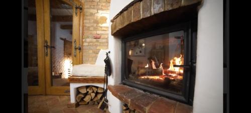 Pouzdrany House | Vinný Tunel - Květinový pokoj se soukromou terasou