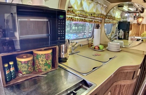 Berryville House | Vintage Airstream + Hot Tub + Glamping + Fire Pit