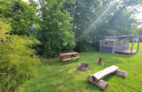 Jonesville Cabin | Vintage Camper Cabin on Beautiful Farm Near Ark & Bourbon Trailn